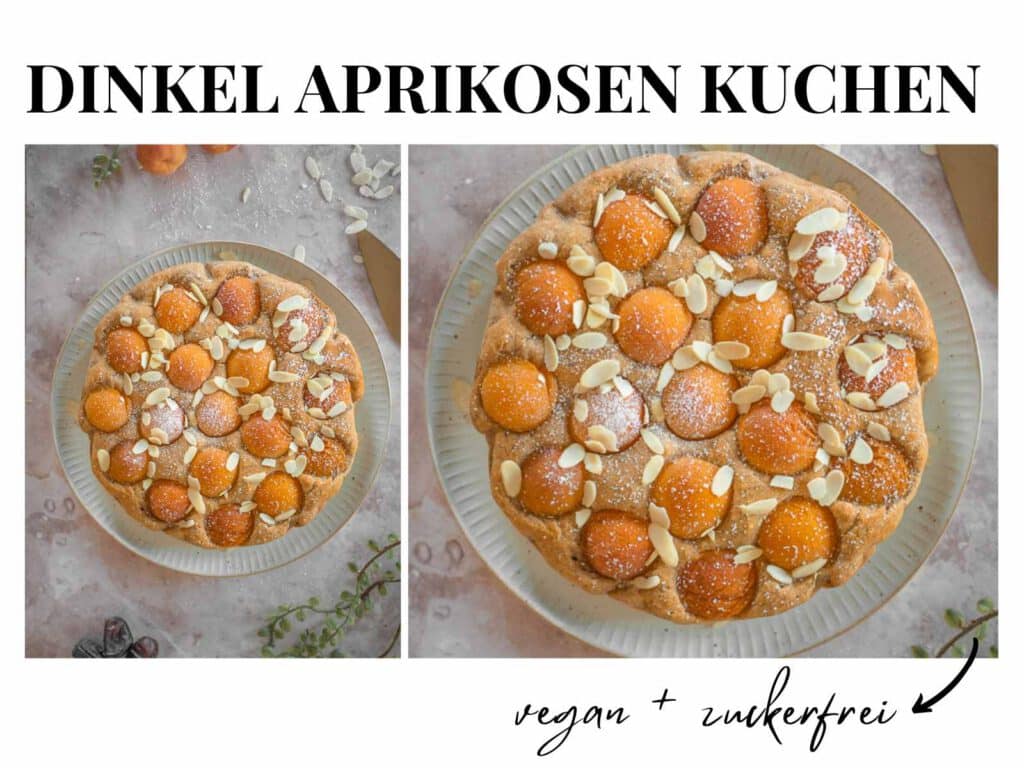 Aprikosen Kuchen zuckerfrei vegan
