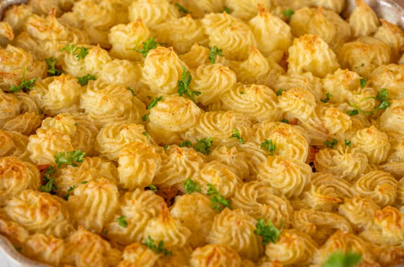 Pflanzlicher Shepherd's Pie