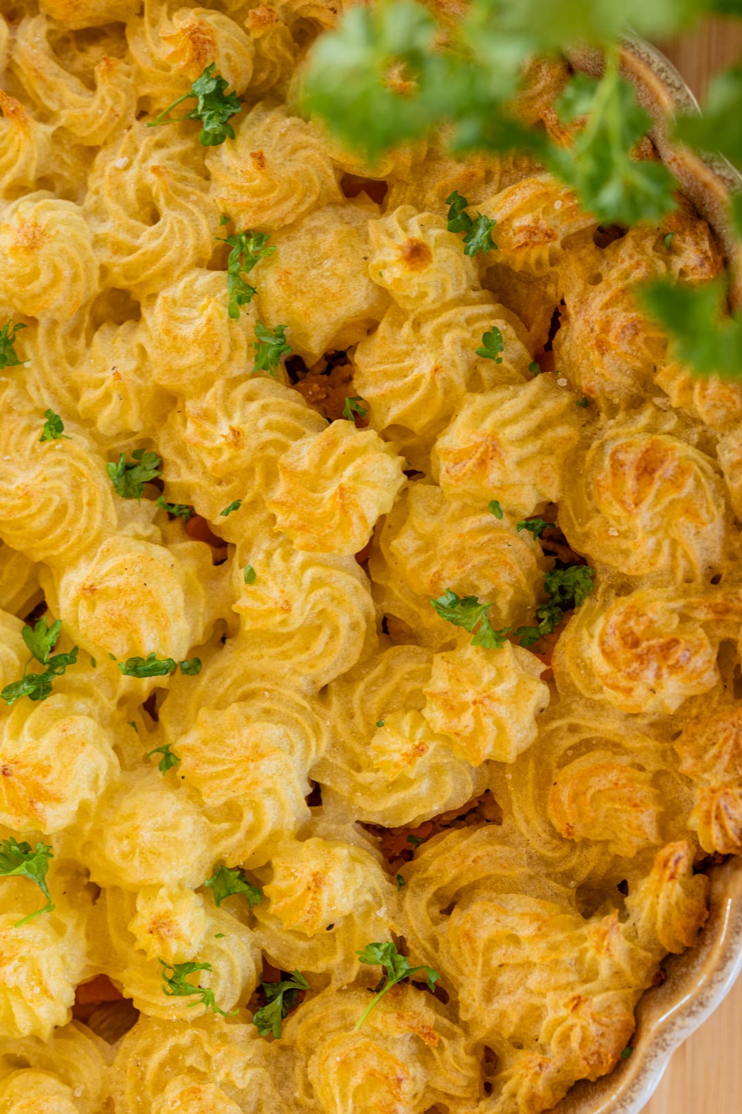 Pflanzlicher Shepherd&amp;#39;s Pie | Plantpower Nutrition
